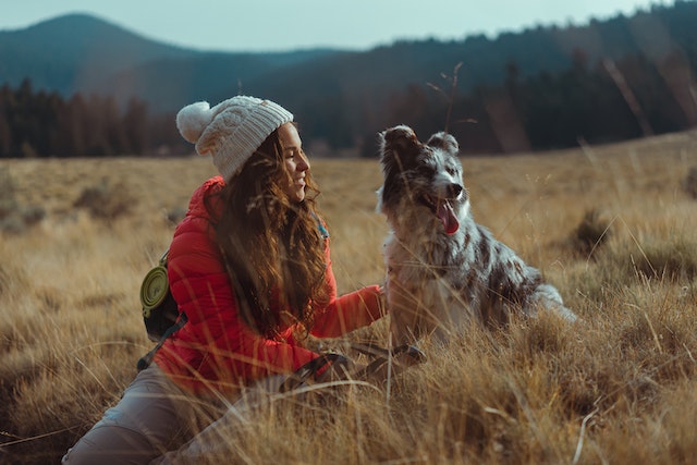 A Solo Traveler's Guide to Adventuring with Pets